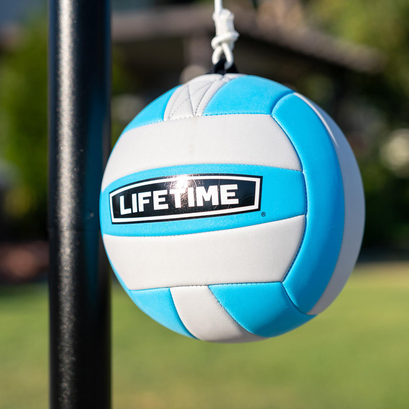 Lifetime Tetherball & Reviews Wayfair